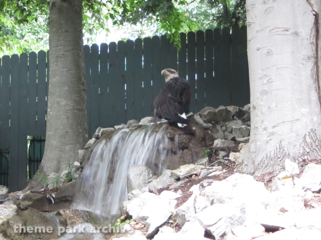 Jack Hanna's Wild Reserve at Busch Gardens Williamsburg
