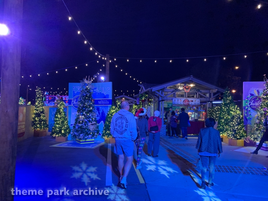 Christmas Tree Trail at Disney Springs