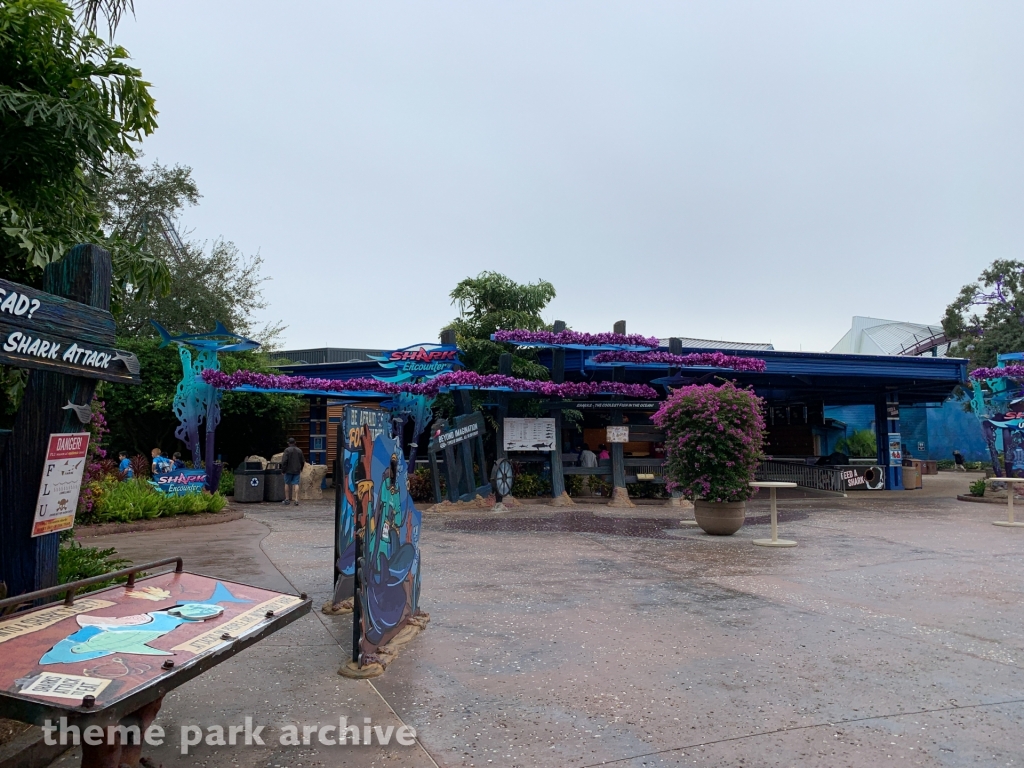 Shark Encounter at SeaWorld Orlando