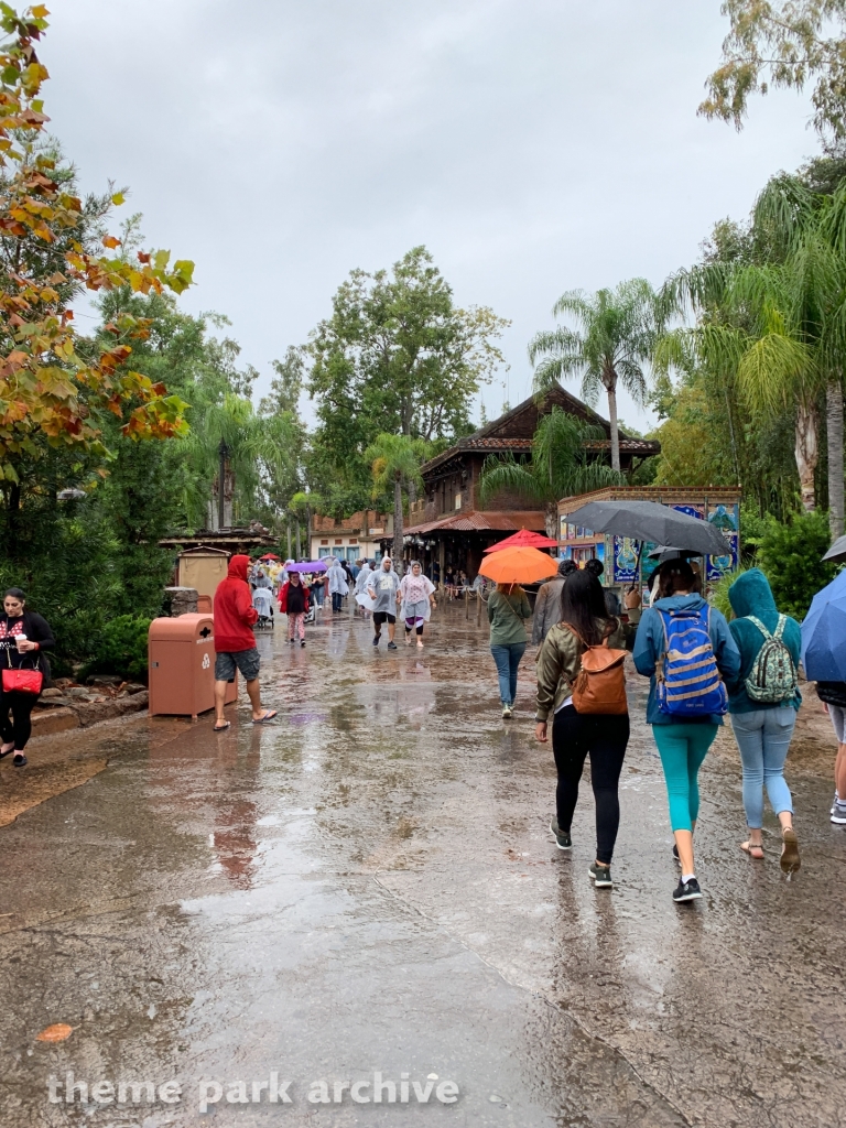Asia at Disney's Animal Kingdom