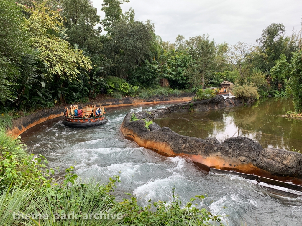 Kali River Rapids at Disney's Animal Kingdom