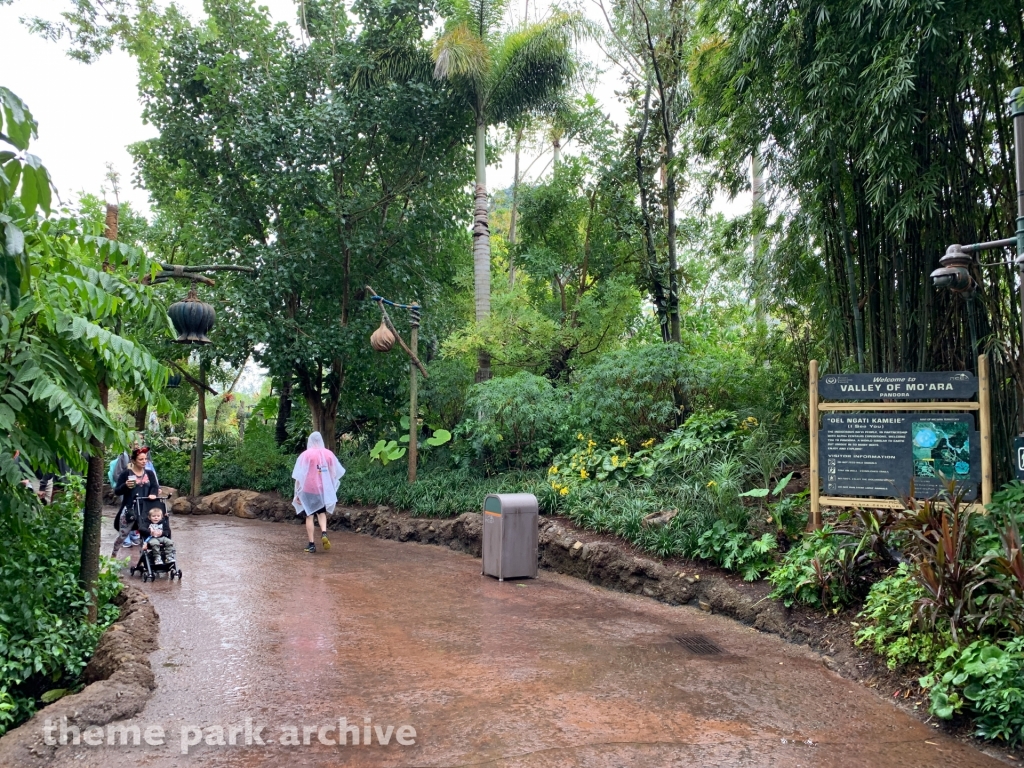 Pandora: The World of Avatar at Disney's Animal Kingdom