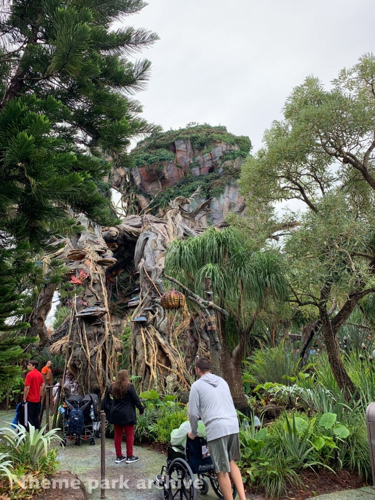 Pandora: The World of Avatar at Disney's Animal Kingdom