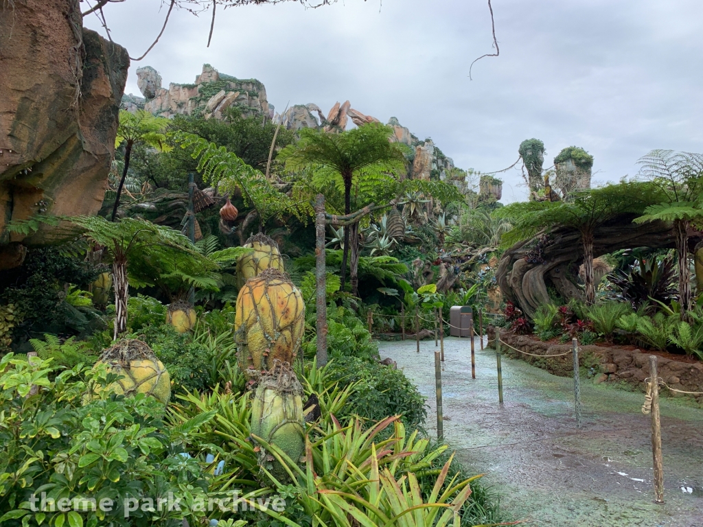 Pandora: The World of Avatar at Disney's Animal Kingdom