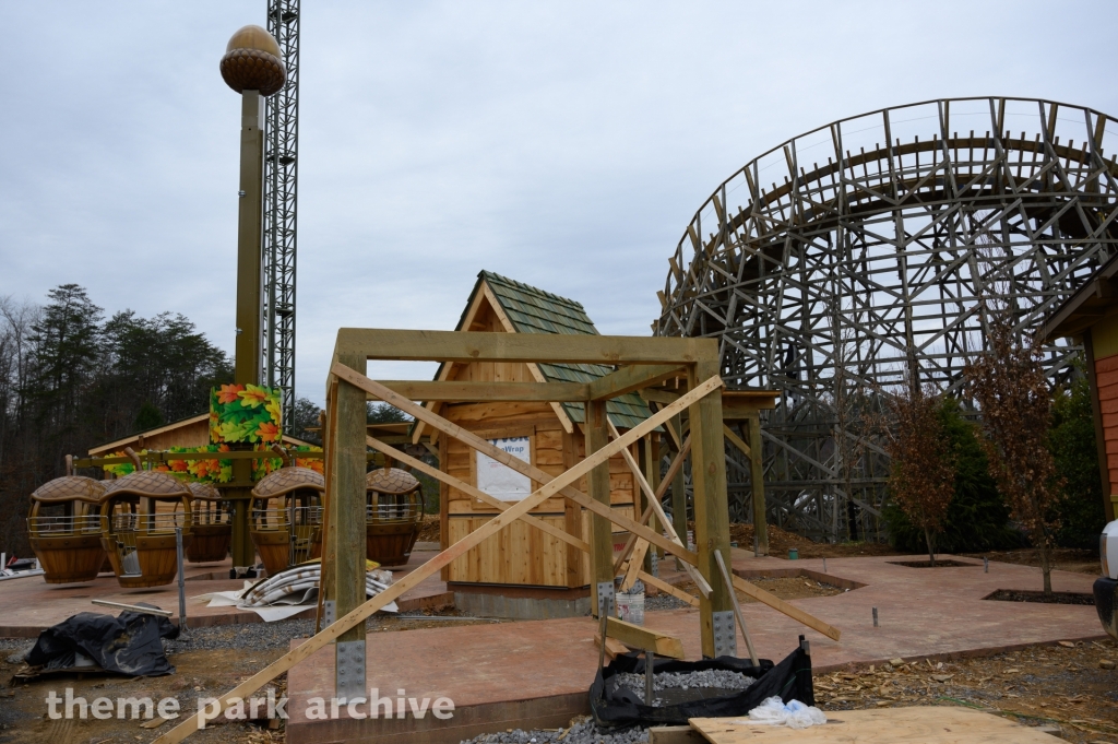 Treetop Tower at Dollywood