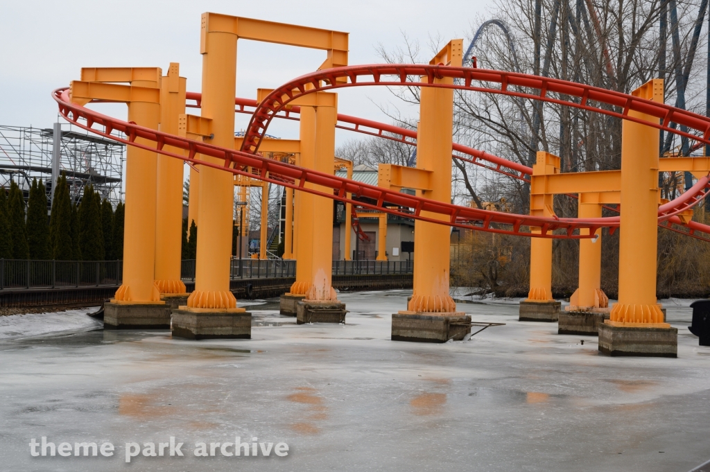 Iron Dragon at Cedar Point