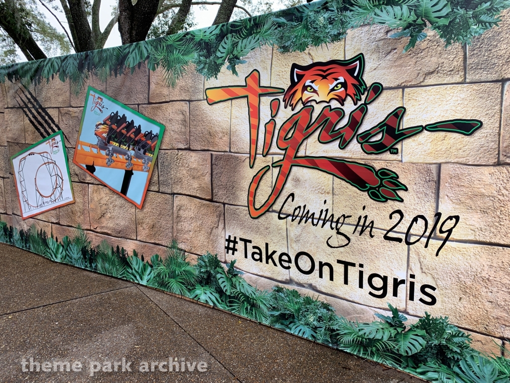 Tigris at Busch Gardens Tampa