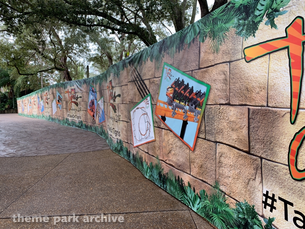 Tigris at Busch Gardens Tampa