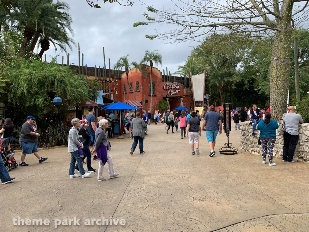 Cheetah Hunt at Busch Gardens Tampa