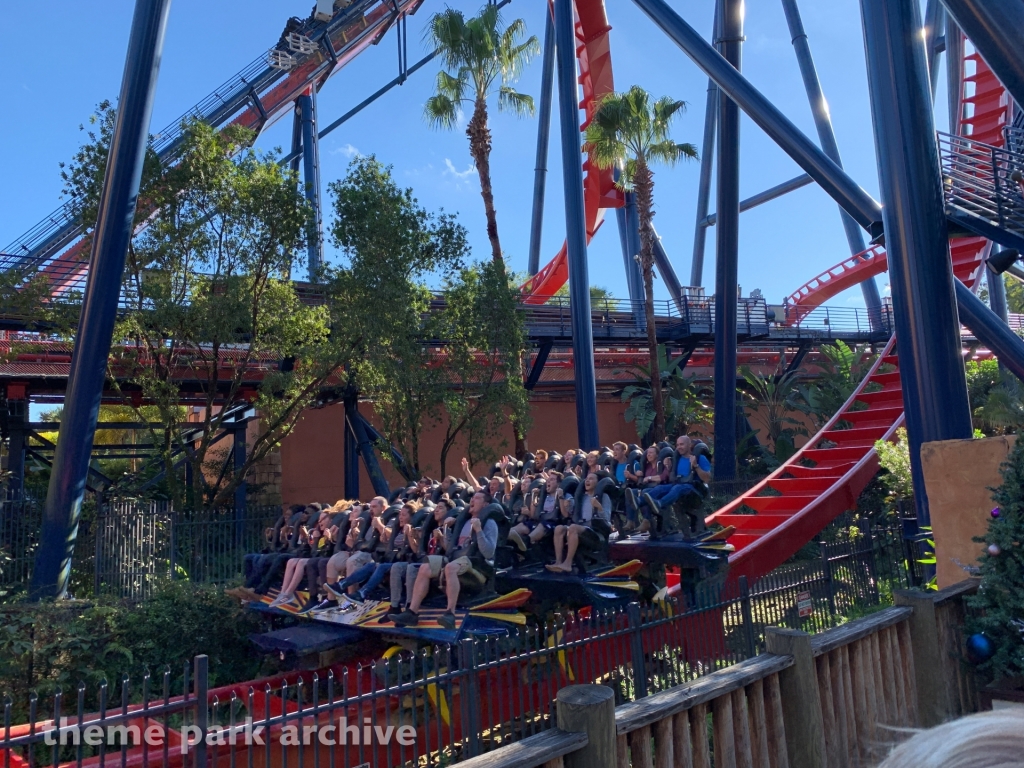 Sheikra at Busch Gardens Tampa