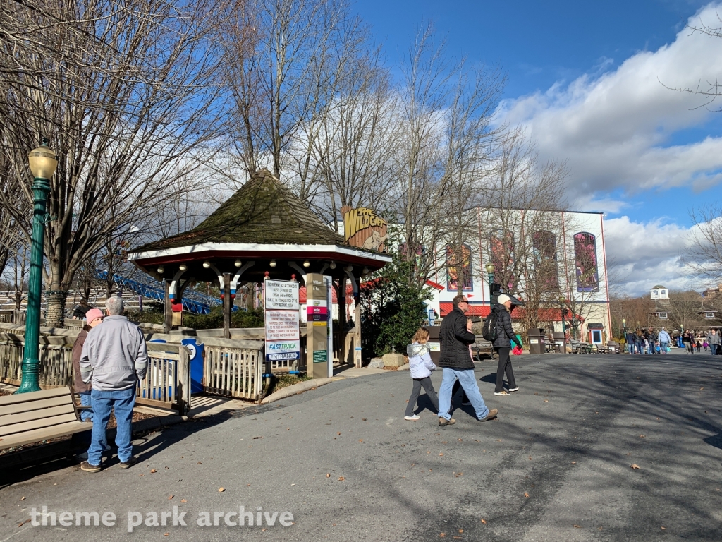 Wildcat at Hersheypark