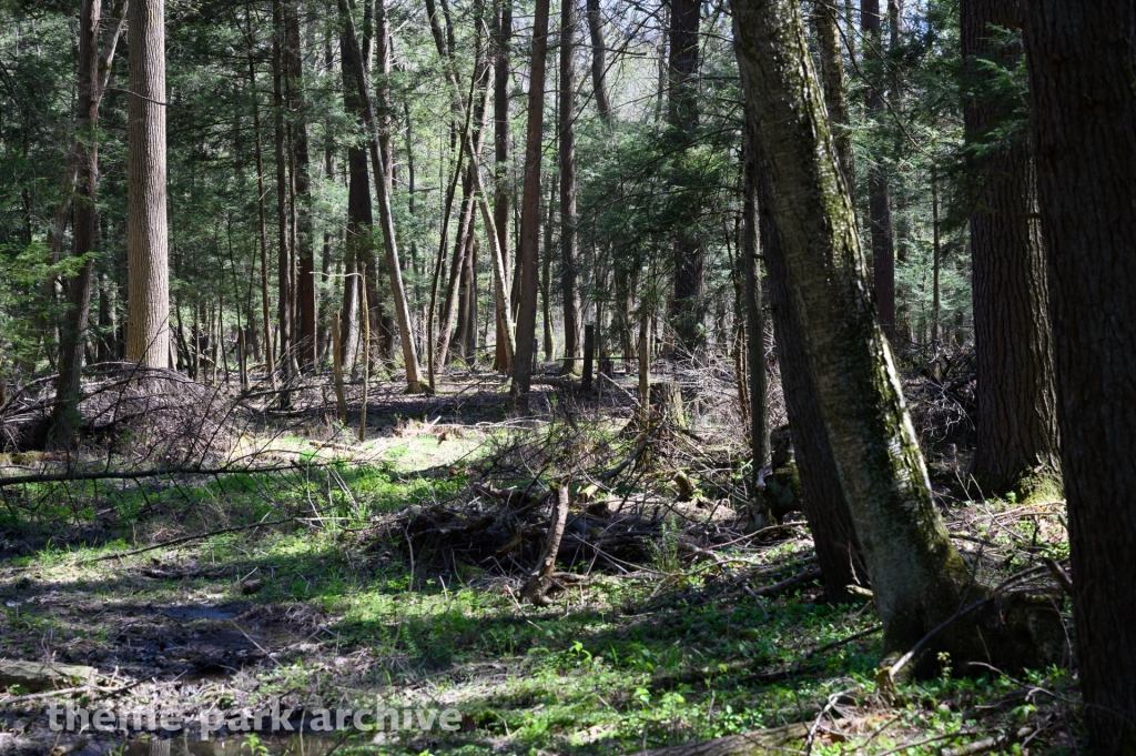 Pioneer Train at Knoebels Amusement Resort
