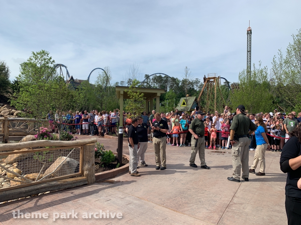 Wildwood Grove at Dollywood