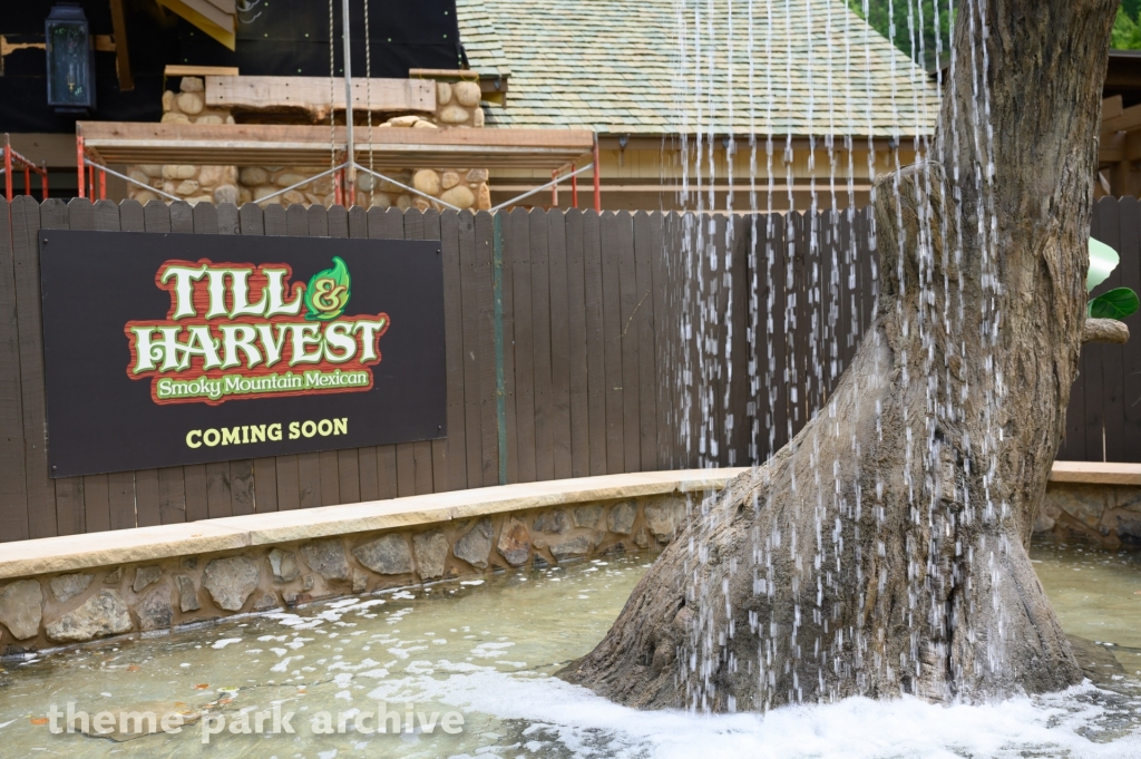 Wildwood Grove at Dollywood