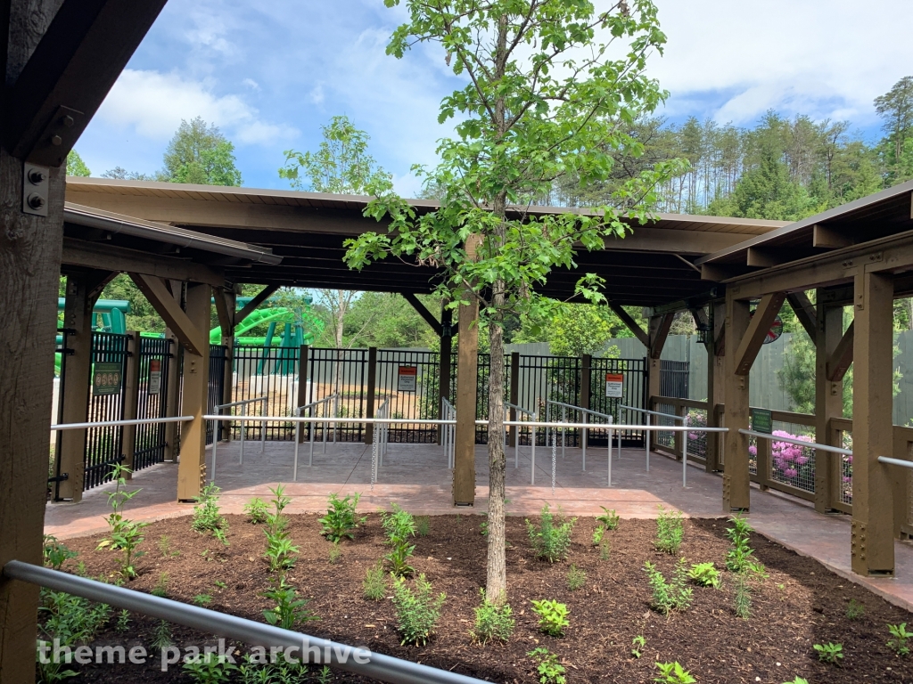 The Dragonflier at Dollywood