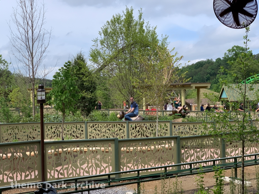 Black Bear Trail at Dollywood