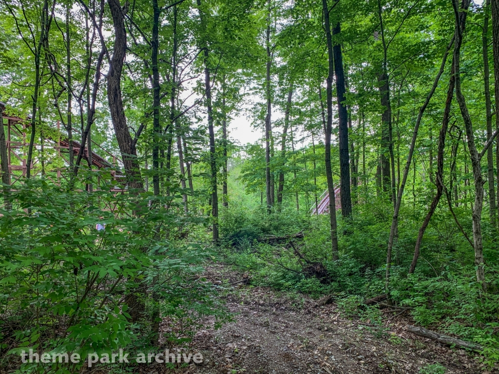 The Beast at Kings Island
