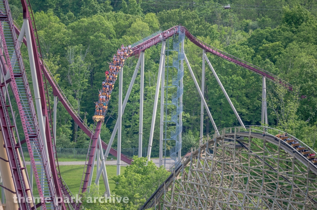 Diamondback at Kings Island