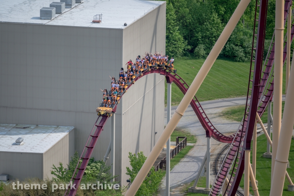 Diamondback at Kings Island