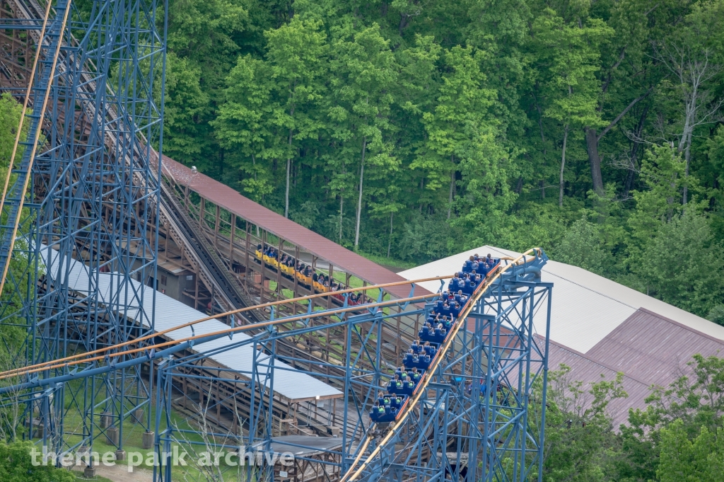 Vortex at Kings Island