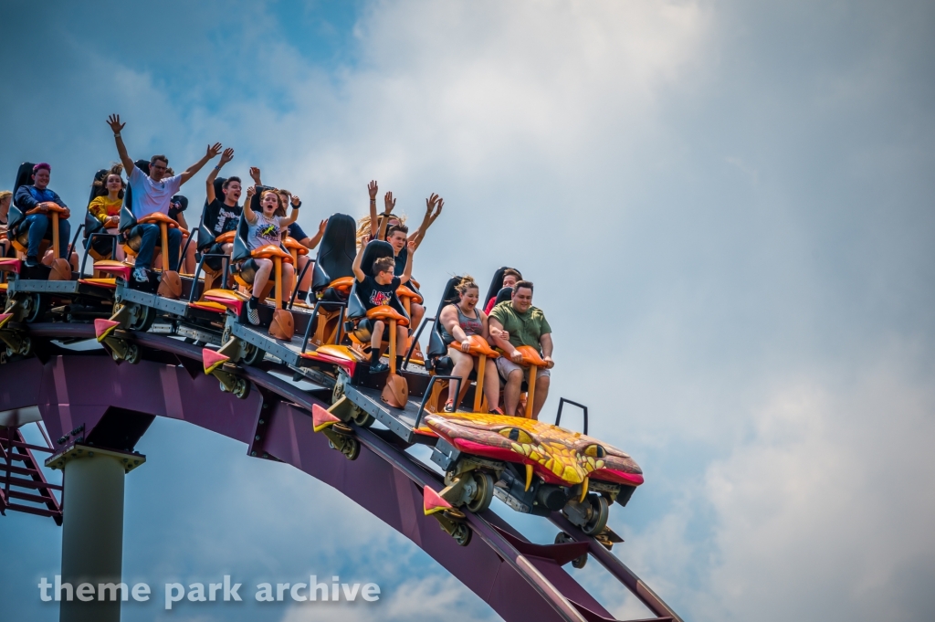 Diamondback at Kings Island