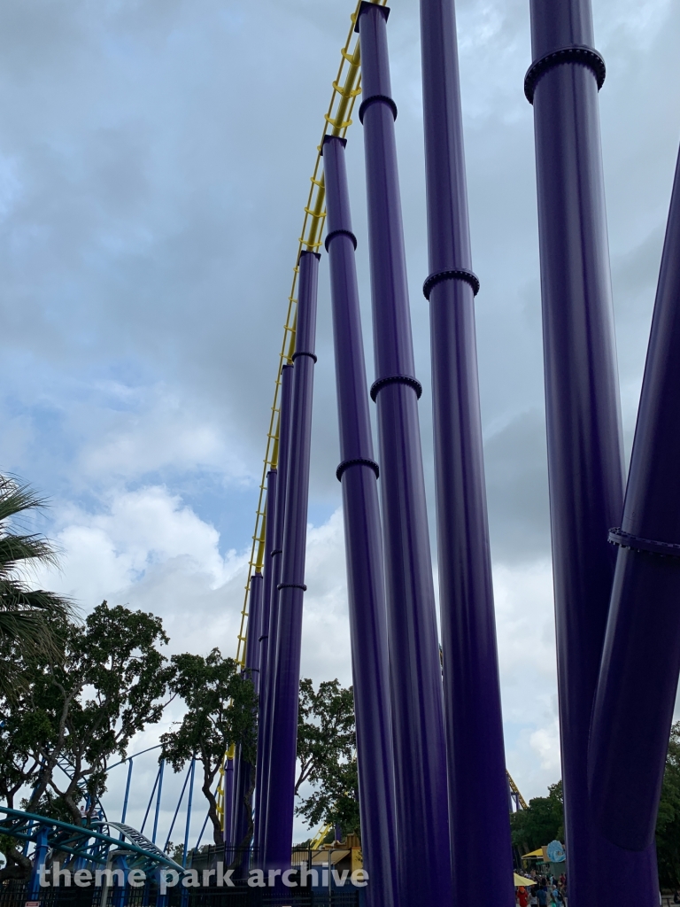 Steel Eel at SeaWorld San Antonio