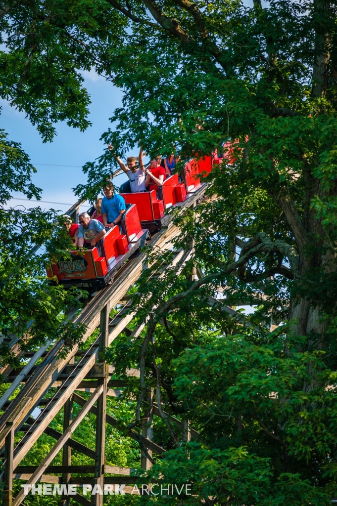 Raven at Holiday World