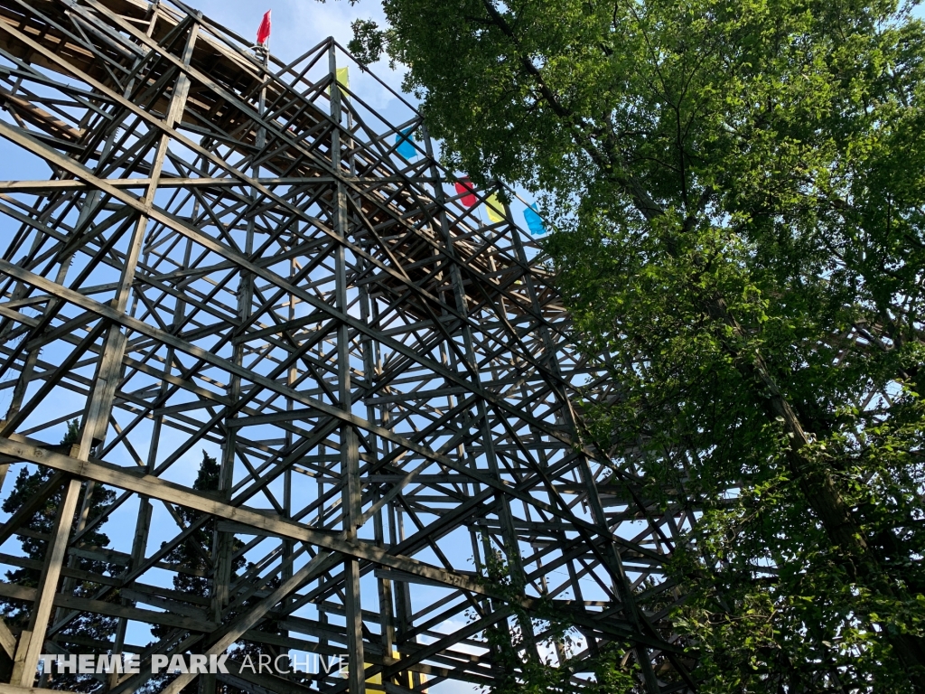 Raven at Holiday World