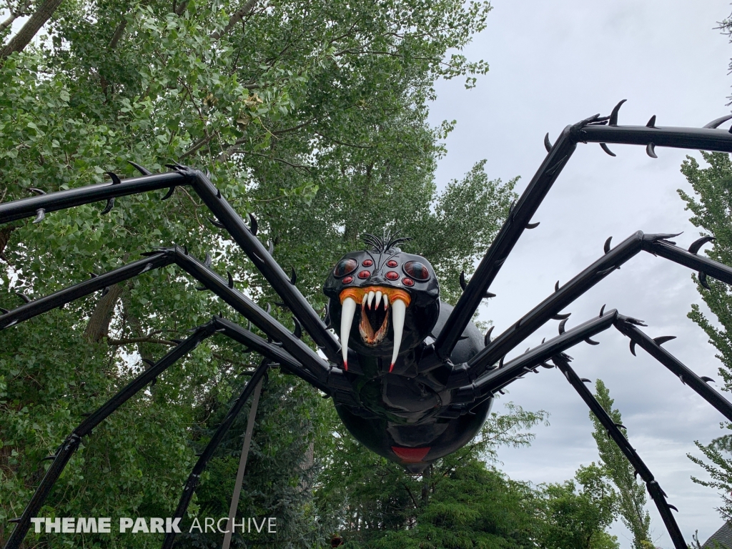 Spider at Lagoon