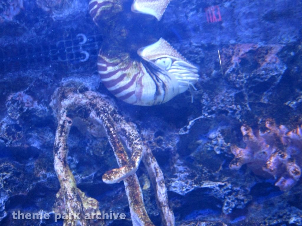 Sea Life Aquarium at LEGOLAND California