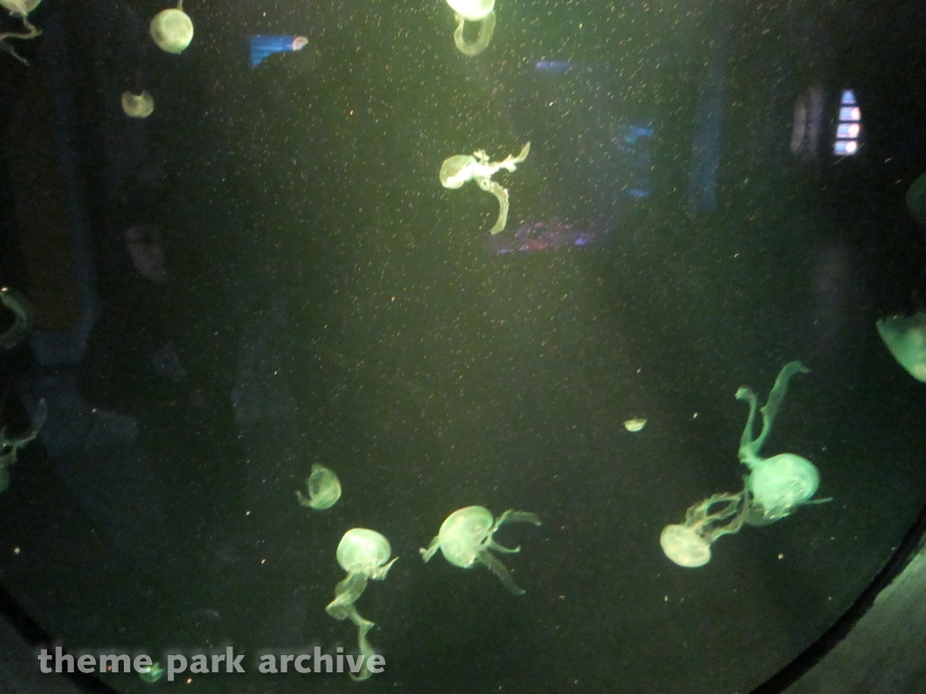 Sea Life Aquarium at LEGOLAND California