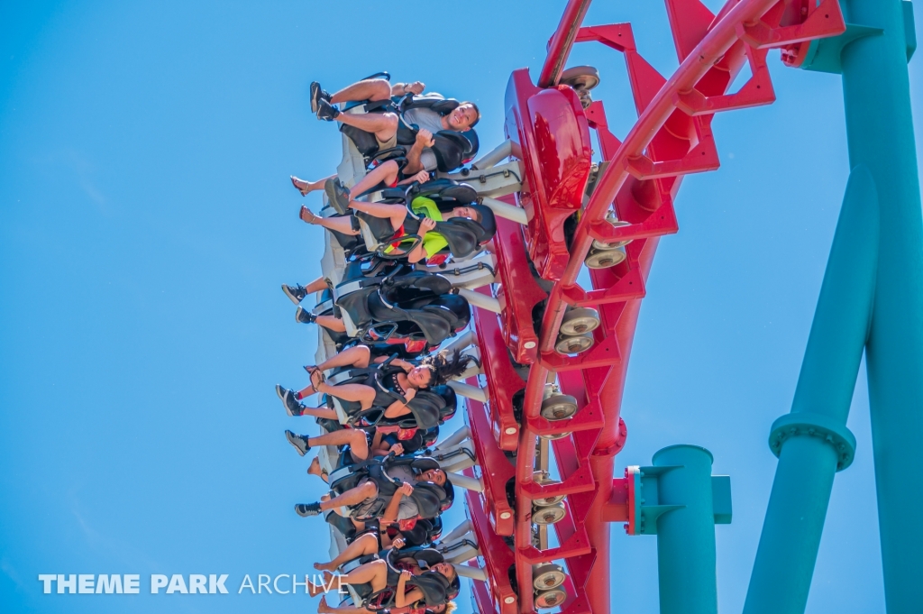 Mind Eraser at Elitch Gardens