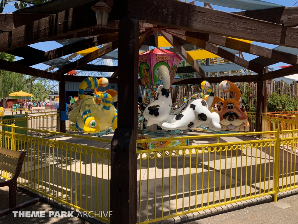 Doggie Go Round at Cliff's Amusement Park