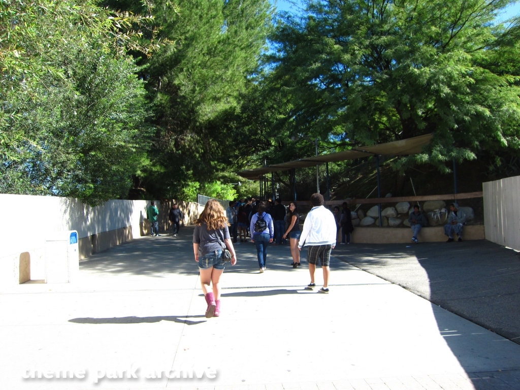 Misc at Six Flags Magic Mountain