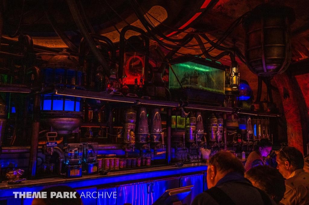 Oga's Cantina at Disney's Hollywood Studios