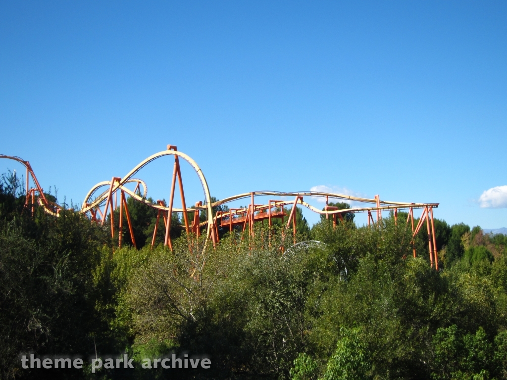 Tatsu at Six Flags Magic Mountain