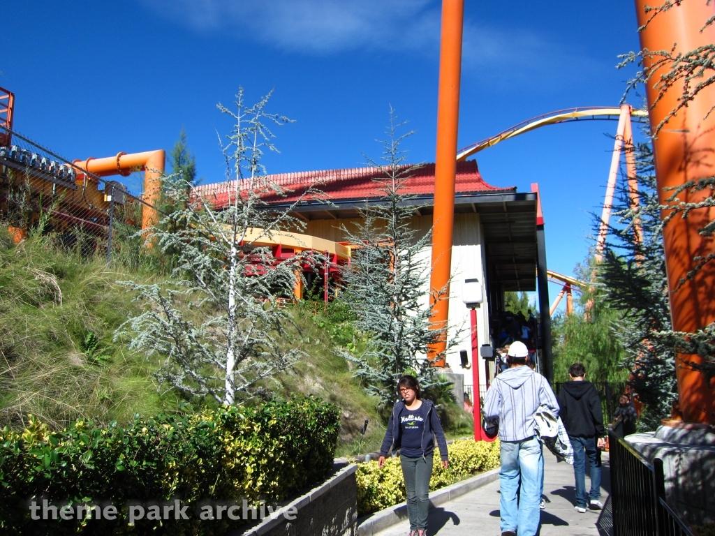 Tatsu at Six Flags Magic Mountain
