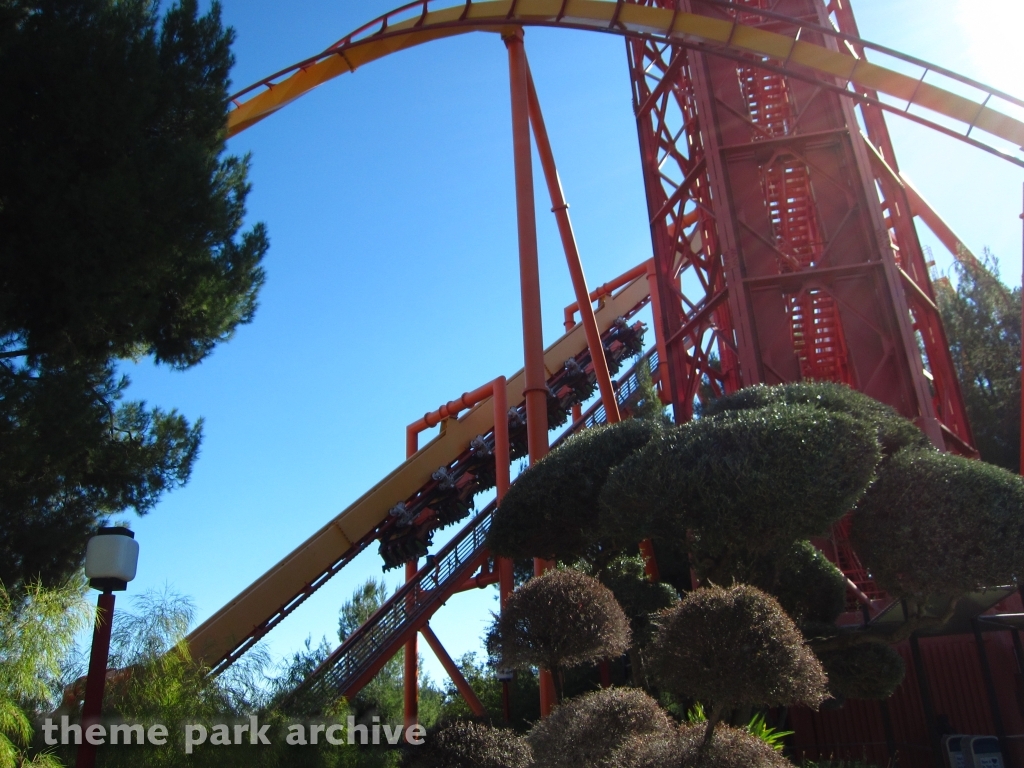 Tatsu at Six Flags Magic Mountain
