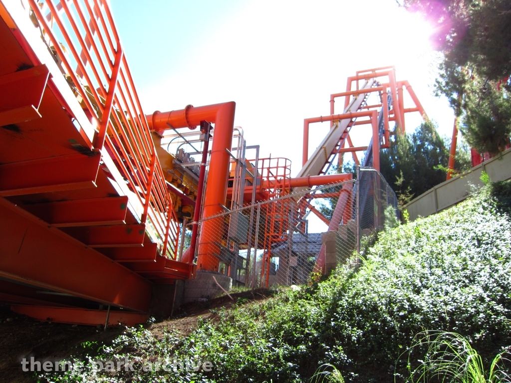 Tatsu at Six Flags Magic Mountain