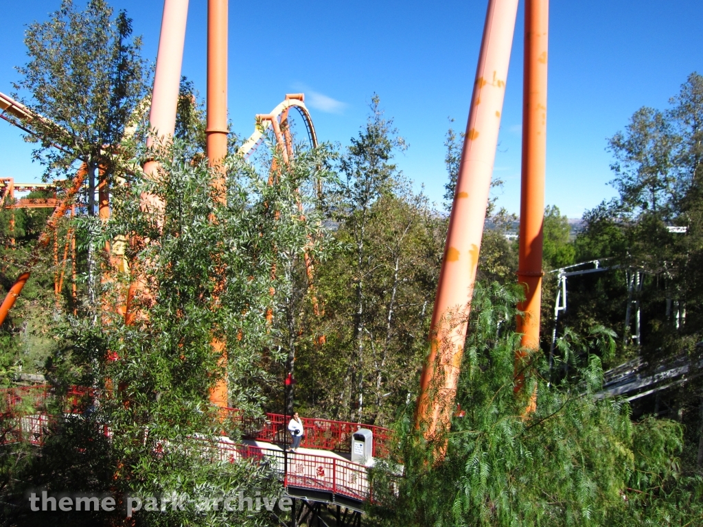 Tatsu at Six Flags Magic Mountain