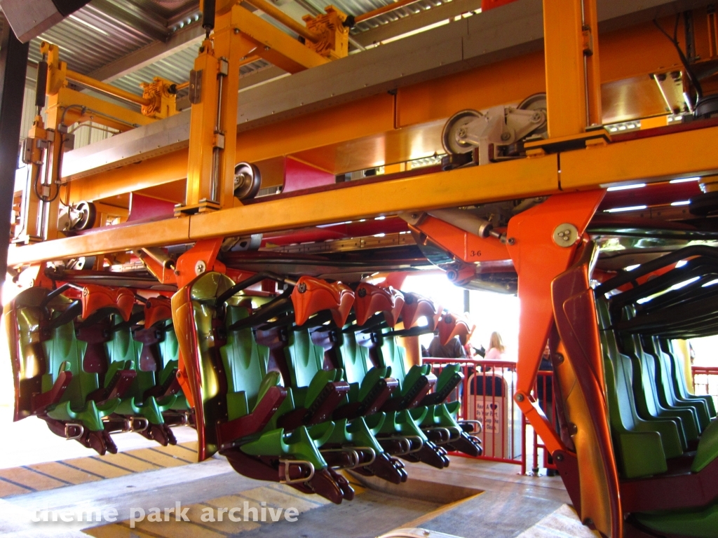 Tatsu at Six Flags Magic Mountain
