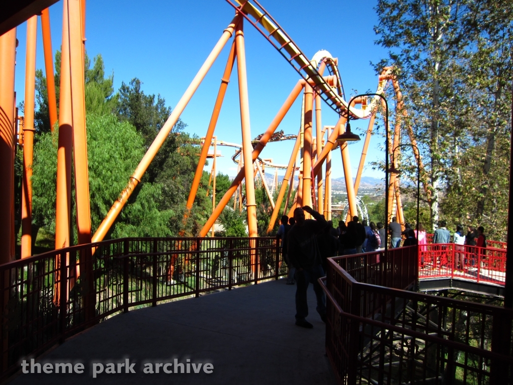 Tatsu at Six Flags Magic Mountain