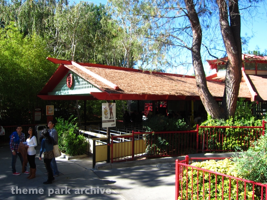Ninja at Six Flags Magic Mountain