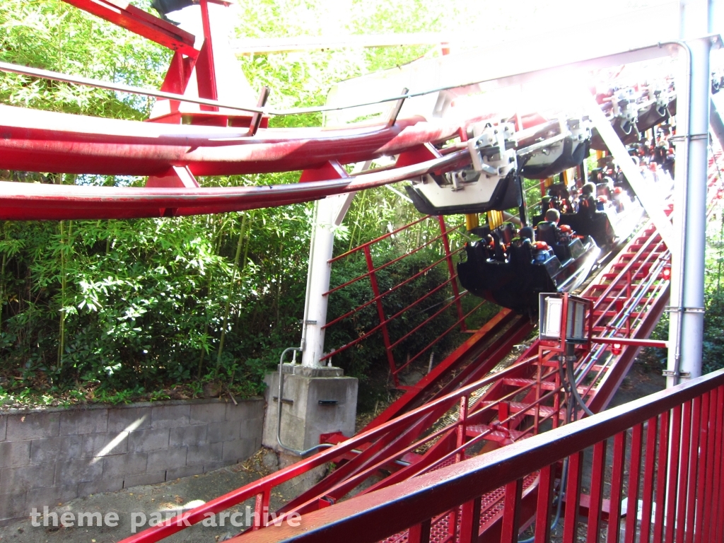 Ninja at Six Flags Magic Mountain