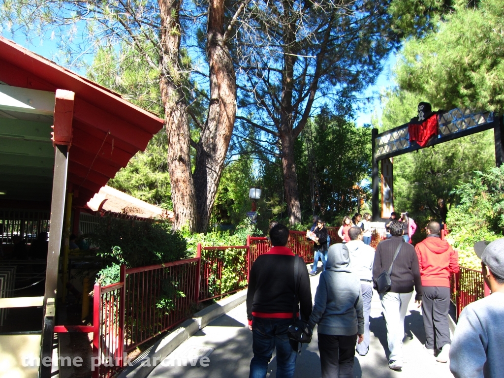 Ninja at Six Flags Magic Mountain