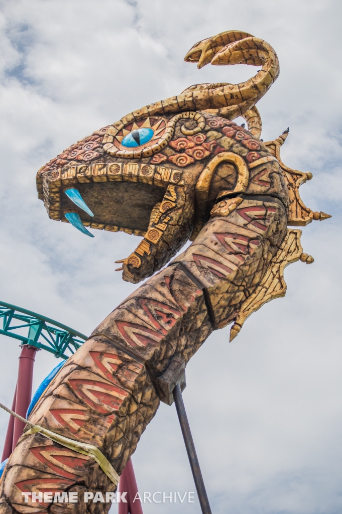 Cobra's Curse at Busch Gardens Tampa