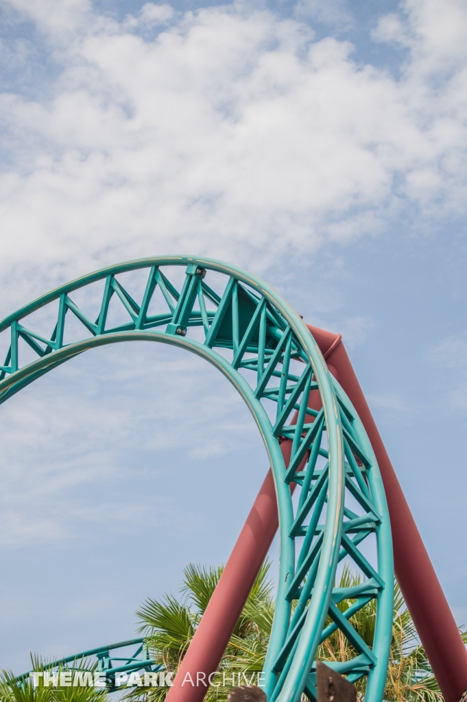 Cobra's Curse at Busch Gardens Tampa