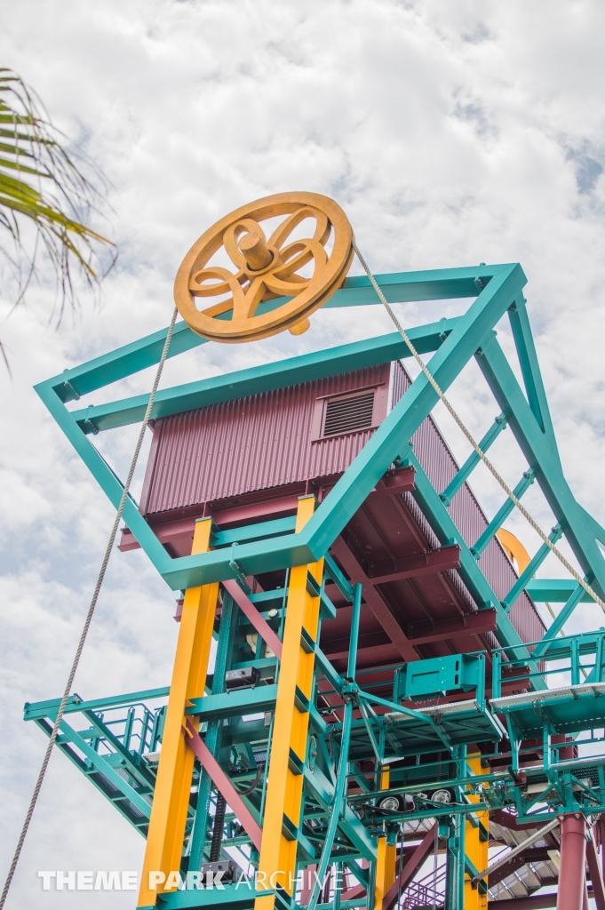 Cobra's Curse at Busch Gardens Tampa