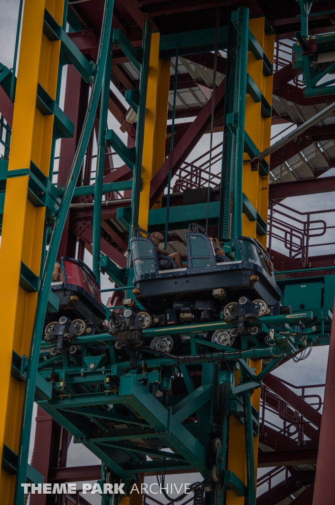 Cobra's Curse at Busch Gardens Tampa
