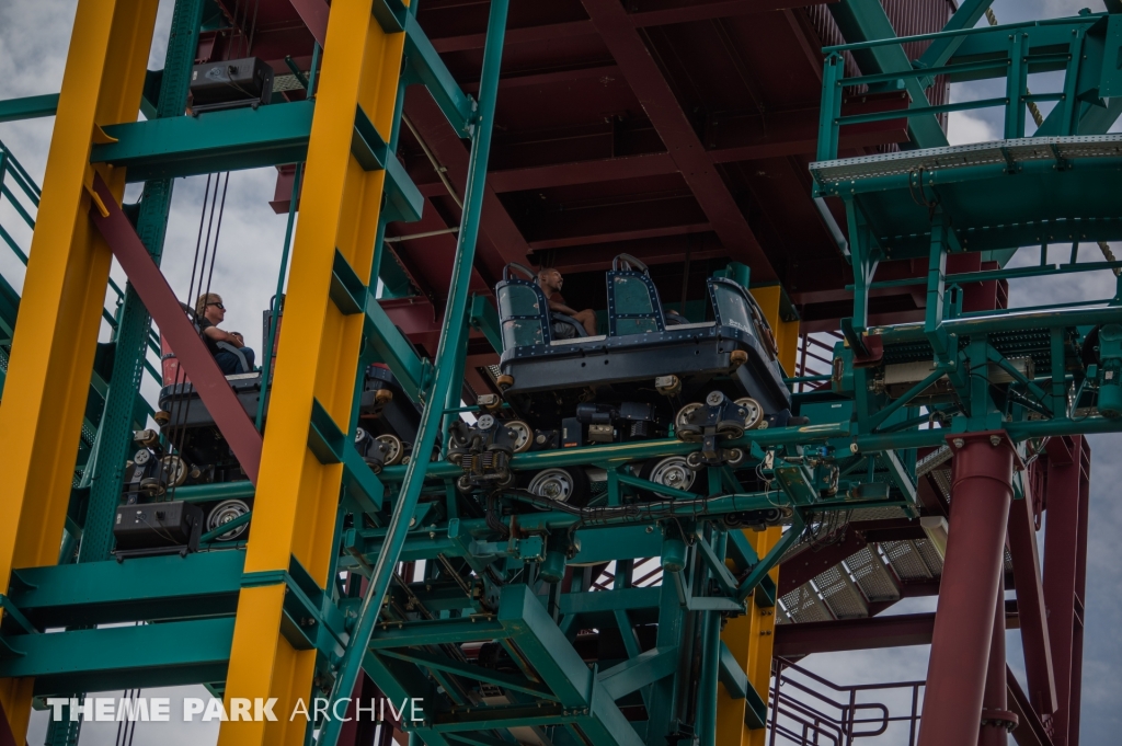 Cobra's Curse at Busch Gardens Tampa